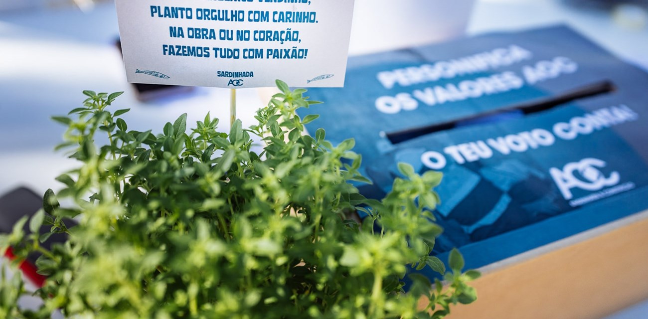 sardinhada-20250627-152