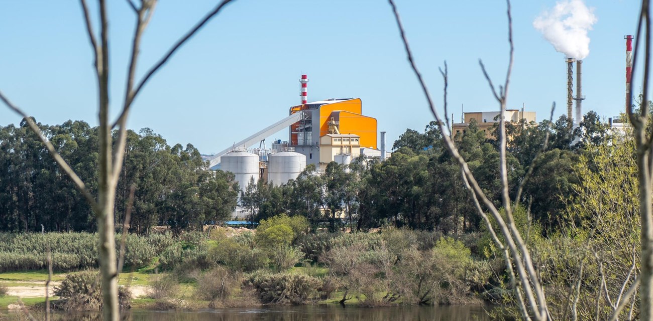 ec22-0008-caima-constancia-200224-aoc06942-052-1800x1200